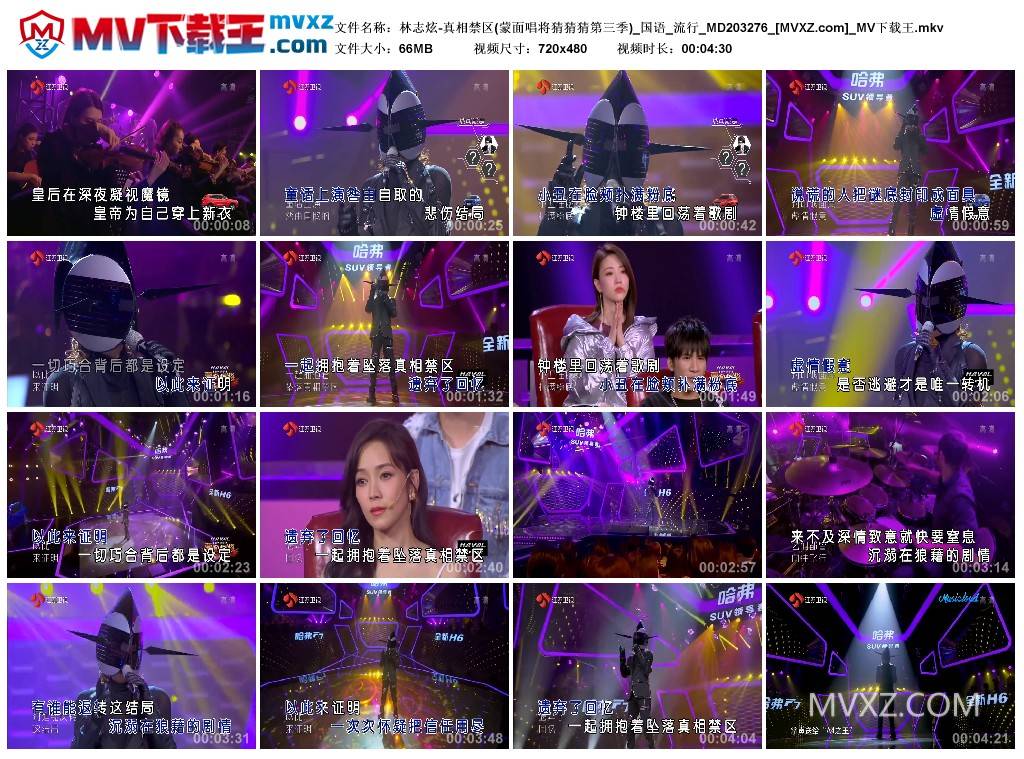 林志炫-真相禁区(蒙面唱将猜猜猜第三季)_国语_流行_MD203276